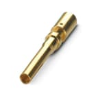 PHOENIX CONTACT - PHC1029393 CC1,5-TS-2,50FPE K/L AU PIN PER CONN. PO