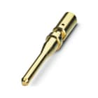 PHOENIX CONTACT - PHC1029398 CC1,5-TS-2,10MPE AU PIN PER CONN. POWER