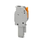 PHOENIX CONTACT - PHC1071735 Maschio