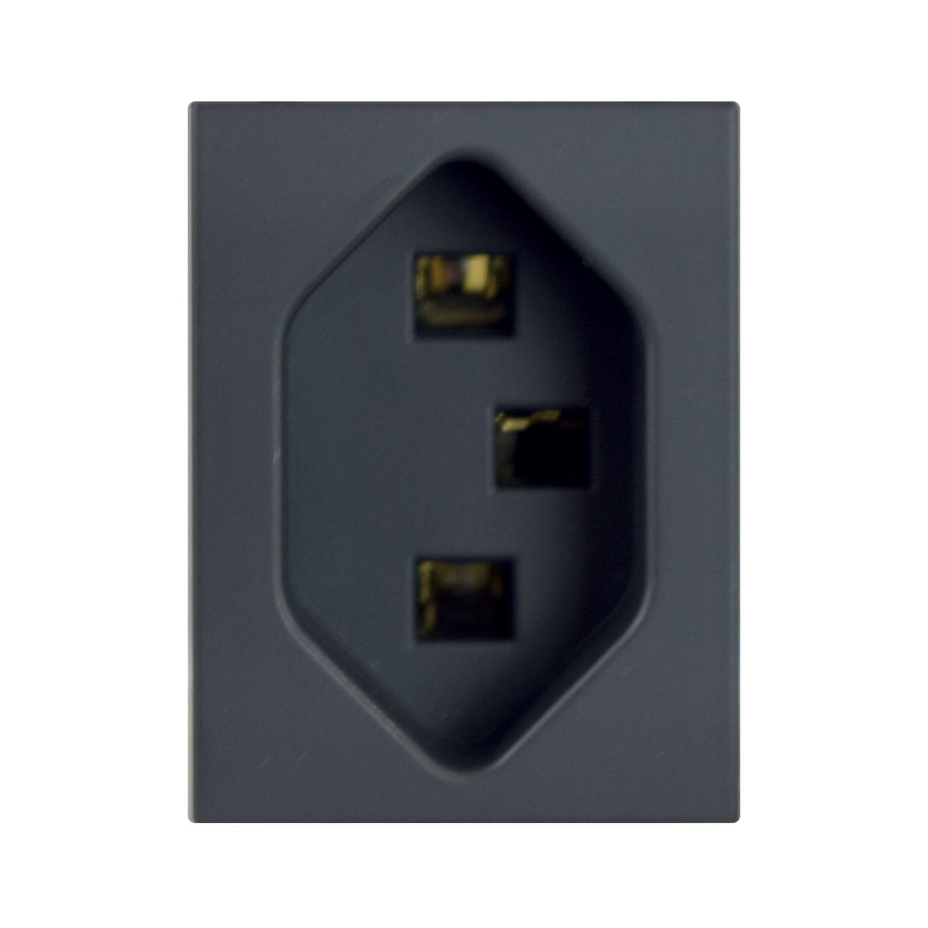 AVE - AVE445023T PRESA SVI. 2P+T 16A250V TEKLA 1.5M