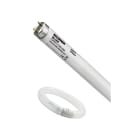 FEILO SYLVANIA ITALY - SYL0000091 F18 T8 BL368