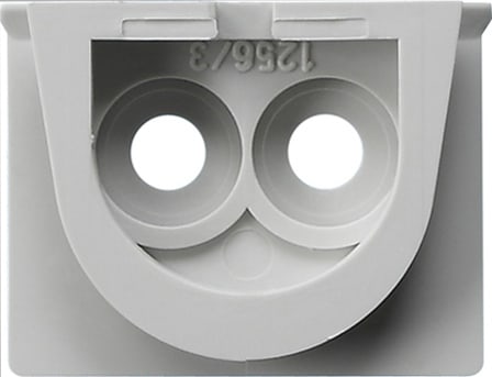 GIRA - GIR001230 Adapter Ltg.einf. 2f WG AP Grau