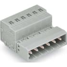 WAGO ITALIA SRL - WAG231-607 CONN M 1 CONDUT 2,5MMQ 5MM 7P GR