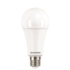 FEILO SYLVANIA ITALY - SYL0030025 TOLEDO GOCCIA 2450LM 840 E27