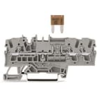 WAGO ITALIA SRL - WAG2002-1781 MORS FUSIBILE 3 CONDUTTMINI-FUSIBILI LAM