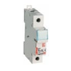 LEGRAND - LEG005818 Legrand Sicherungshalter 1+N/10X38