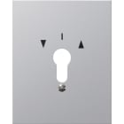 GIRA - GIR009730 Metallabd. + Symbole WG AP Aluminium