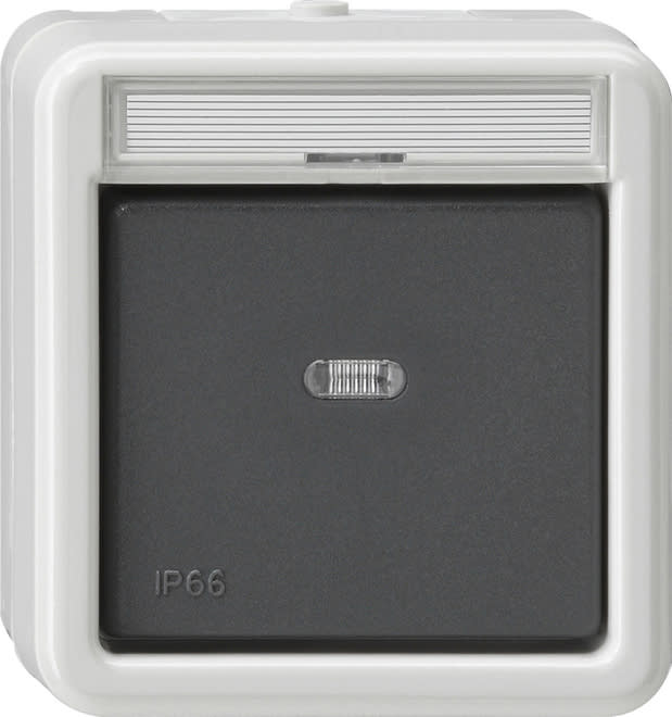 GIRA - GIR011631 INTER. A BILANCIERE CONTROLLO DEVIATORE