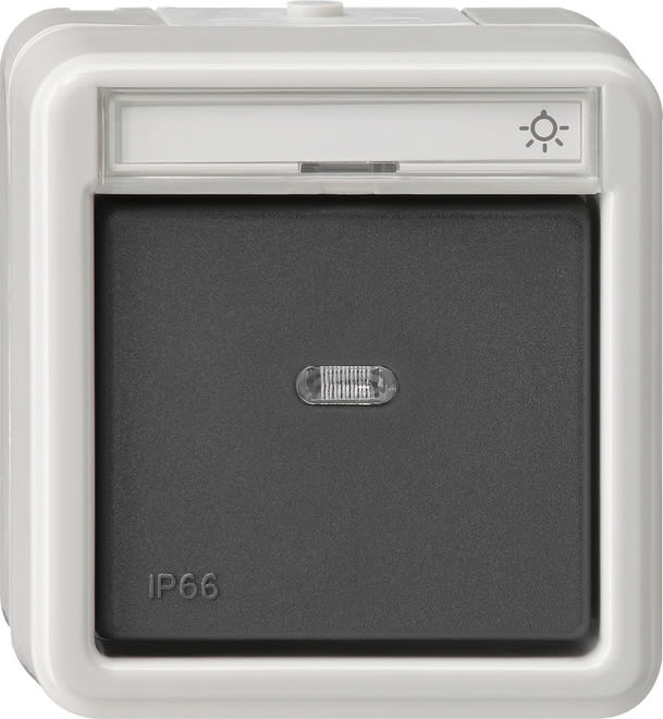 GIRA - GIR015631 Wipptaster Wechsler BSF WD AP Grau