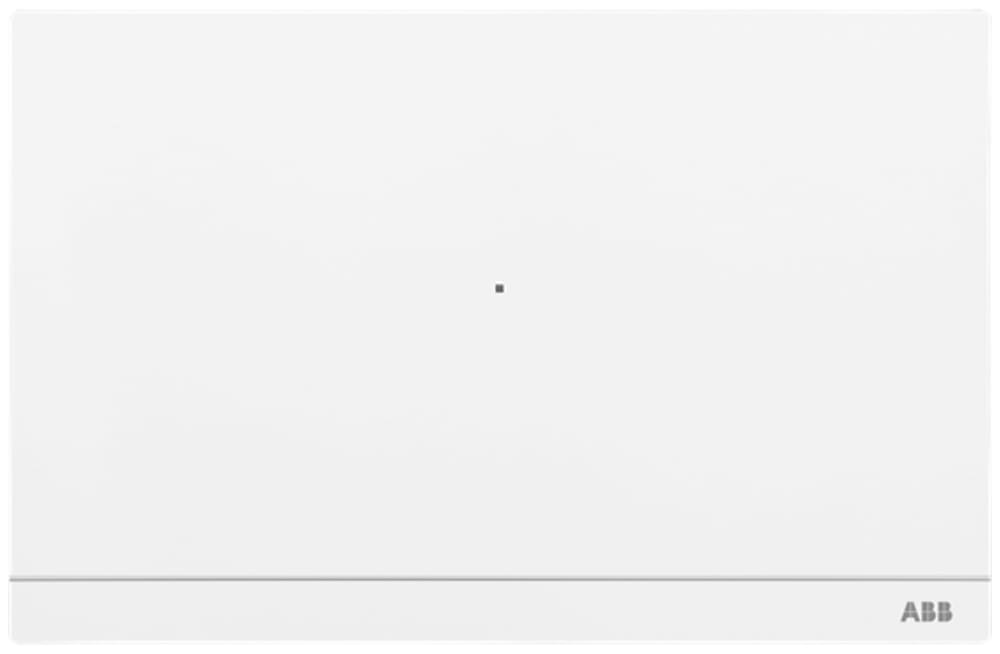 ABB SPA - ABB2TMA400260W0002 SMART ACCESS POINT PRO IP D04011