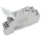 WAGO ITALIA SRL - WAG789-536 REL AC/DC 24V, GRIGIO