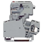 WAGO ITALIA SRL - WAG281-623/281-541 MORS FUSIBILE 2 CONDUTT PORTAFUSIBILE PI