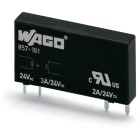 WAGO ITALIA SRL - WAG857-181 REL BASE STATO SOLIDO 24VDC 0 24VDC
