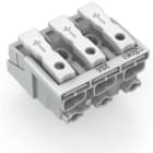 WAGO ITALIA SRL - WAG294-5003 CONN ILL PULS NO TERRA 3P 2,5MMQ 85 BIA