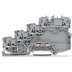 WAGO ITALIA SRL - WAG2000-5417 MORSETTO PER SENSORE PER 4 CONDUTTORI GR