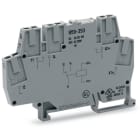 WAGO ITALIA SRL - WAG859-354 MODULO REL 24VAC/DC 1 SCAMBIO INDICAT S