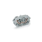 WAGO ITALIA SRL - WAG826-160 MORS CENTRALE PASSAPARETE CONNES CONDUT/