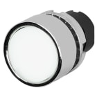 NEW ELFIN SRL - NEW020PTAILBW PULSANTE T.INTERO LUM.BIANCO MET.