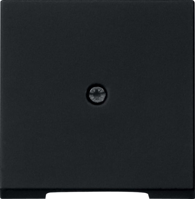 GIRA - GIR0274005 Abd. Schnurableitung VDo System 55 Schwa