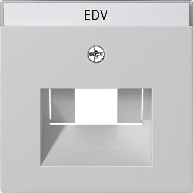 GIRA - GIR0284015 Abd. BSF UAE/IAE + Netzwerk System 55 Gr