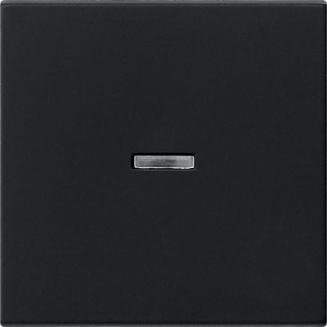 GIRA - GIR0290005 Wippe Kontrollf. System 55 Schwarz m