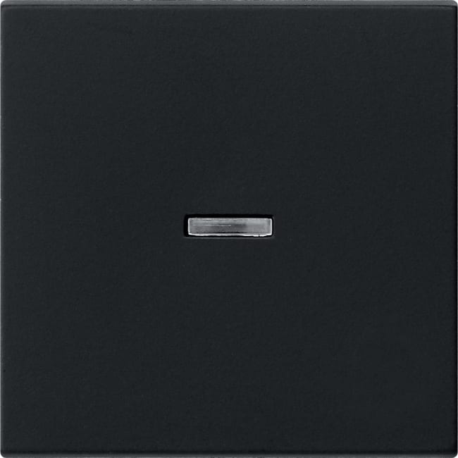 GIRA - GGI0290005 Wippe Kontrollf. System 55 Schwarz m
