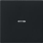GIRA - GGI0290005 Wippe Kontrollf. System 55 Schwarz m
