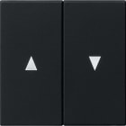 GIRA - GIR0294005 Wippe 2f Pfeil System 55 Schwarz m