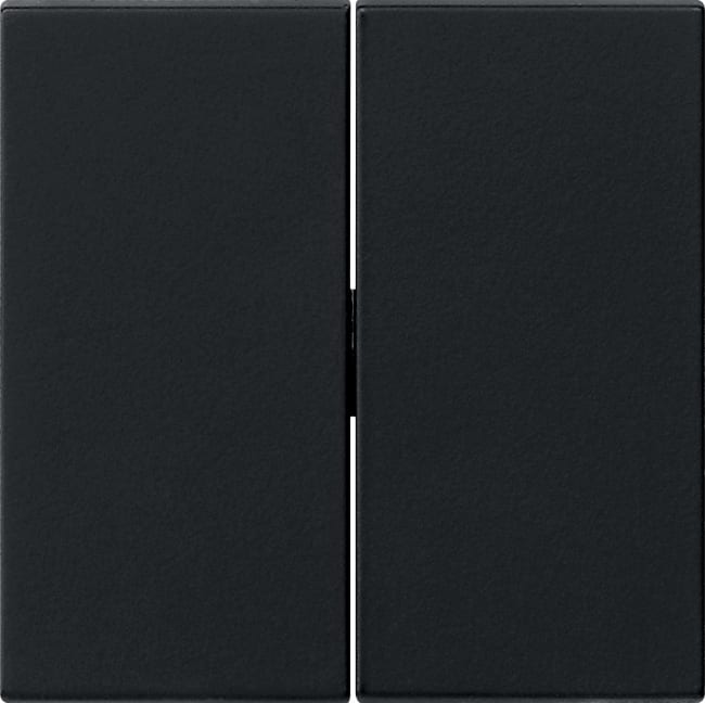 GIRA - GGI0295005 Wippe 2f System 55 Schwarz m