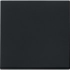 GIRA - GIR0296005 Wippe System 55 Schwarz m