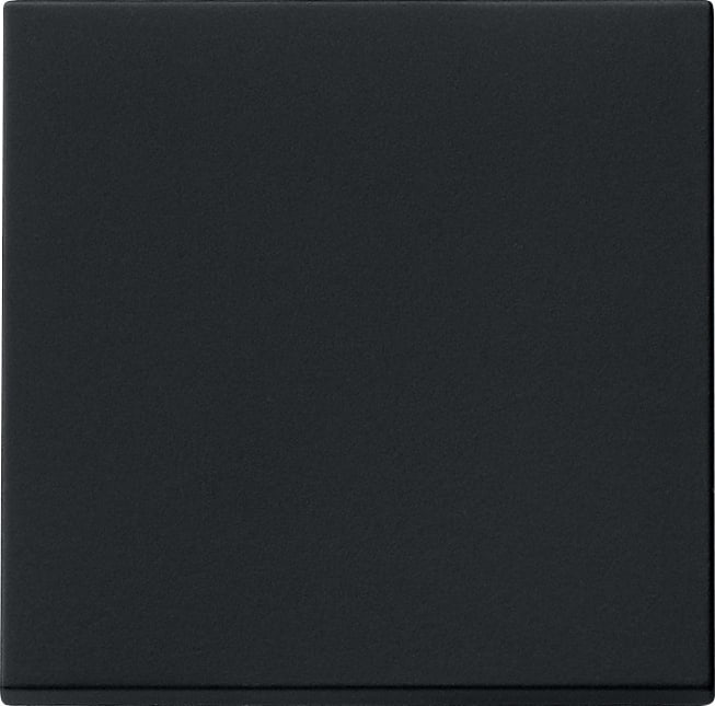 GIRA - GGI0296005 INT.BIL. SYSTEM 55 NERO O