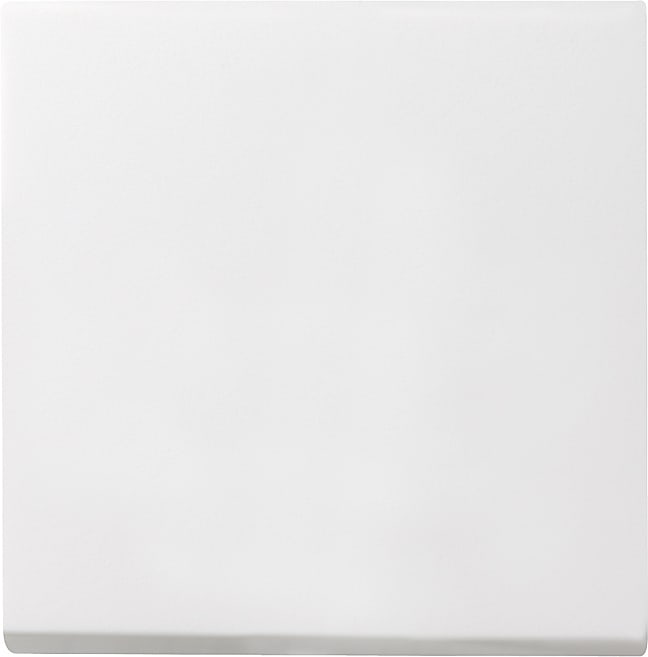 GIRA - GIR029627 INT.BIL. SYSTEM 55 BNC PURO S