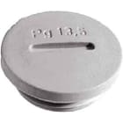 LAPP ITALIA SRL - LPP52024850 SKINDICHT BLK-GL PG11 RAL 7035 LGY