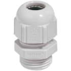 LAPP ITALIA SRL - LPP53018010 SKINTOP ST PG 9 RAL 7035 LGY