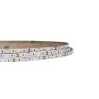 ELCOM SRL - EOW05264 STRIP 180LED/M 11W/M 40K 4MM IP65
