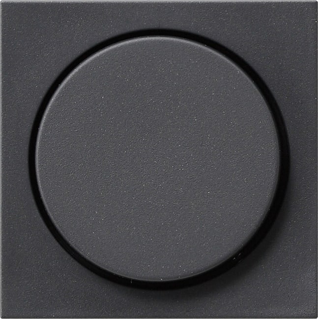 GIRA - GGI065028 COP. TASTO DIM./POTENZIOM. SYSTEM 55 ANT
