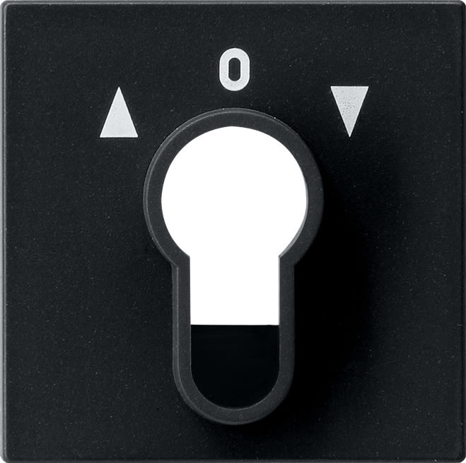GIRA - GIR0664005 Abd. Schlusselschalter/-taster System 55
