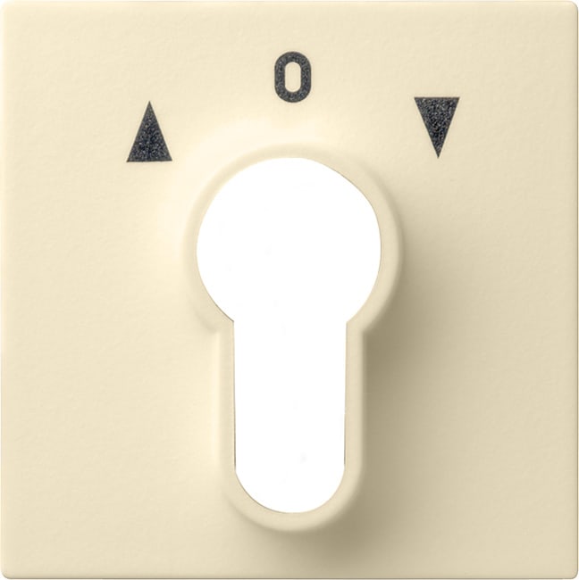 GIRA - GIR066401 COPERT. INT./PS.A CHIAVE SYSTEM 55 BNC C