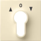 GIRA - GGI066401 Abd. Schlusselschalter/-taster System 55