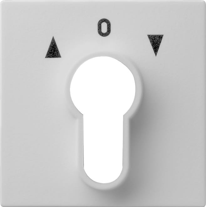 GIRA - GIR0664015 COPERT. INT./PS.A CHIAVE SYSTEM 55 GRIGI
