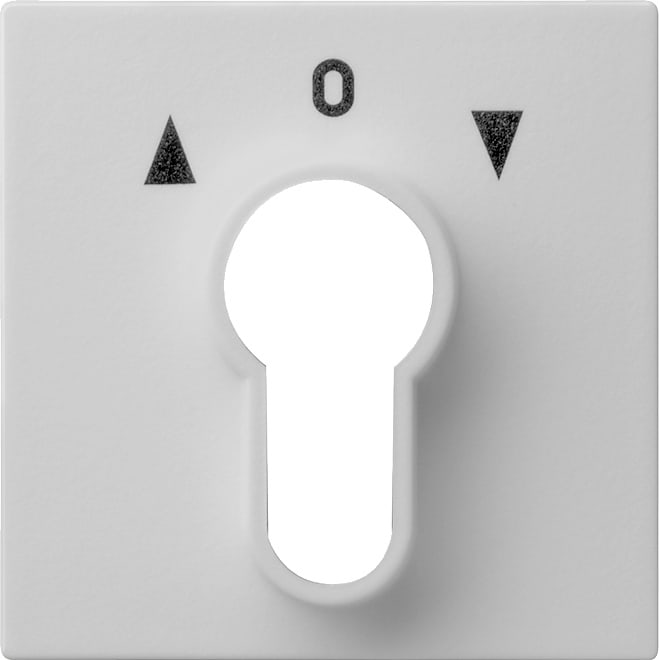GIRA - GGI0664015 Abd. Schlusselschalter/-taster System 55
