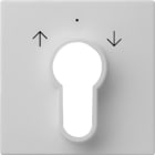 GIRA - GGI0664015 Abd. Schlusselschalter/-taster System 55