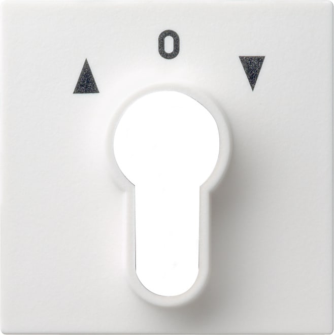 GIRA - GGI066403 Abd. Schlusselschalter/-taster System 55