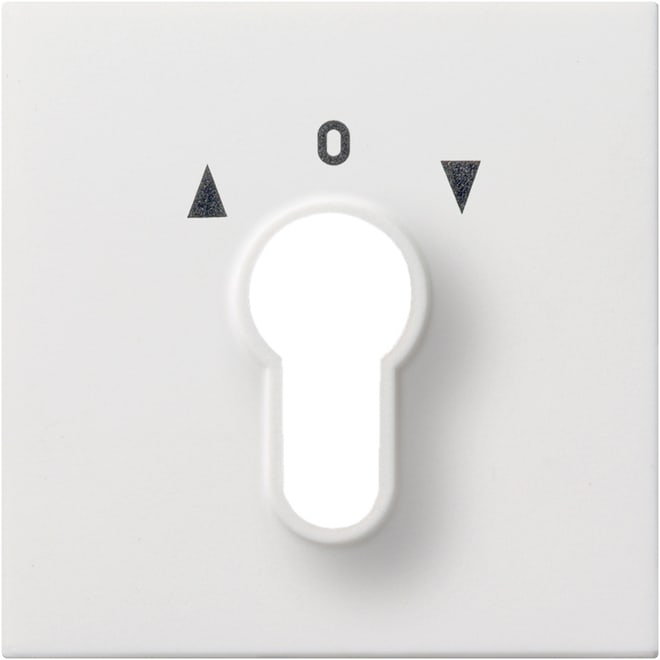 GIRA - GIR0664112 Abd. Schlusselschalter/-taster Flachensc