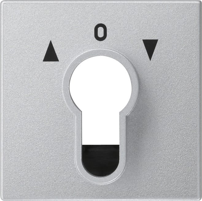 GIRA - GGI066426 COPERT. INT./PS.A CHIAVE SYSTEM 55 C.ALL