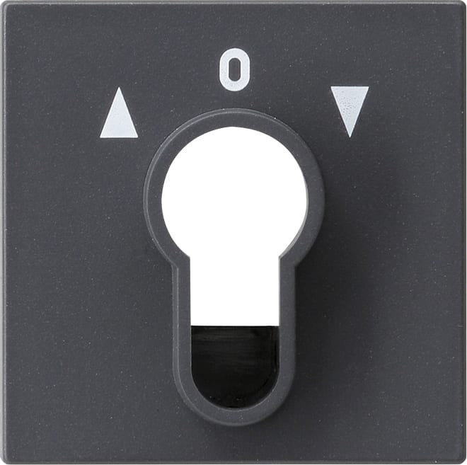 GIRA - GGI066428 Abd. Schlusselschalter/-taster System 55
