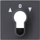 GIRA - GGI066428 Abd. Schlusselschalter/-taster System 55