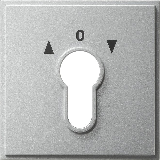 GIRA - GGI066465 Abd. Schlusselschalter/-taster Gira TX_4