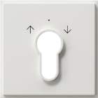 GIRA - GGI066466 Abd. Schlusselschalter/-taster Gira TX_4