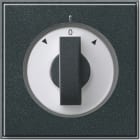 GIRA - GIR066667 Abd. Knebel Zeitsch. + Jalousie Gira TX_